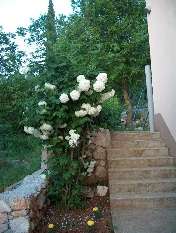 Villa Petra Međugorje Zewnętrze zdjęcie